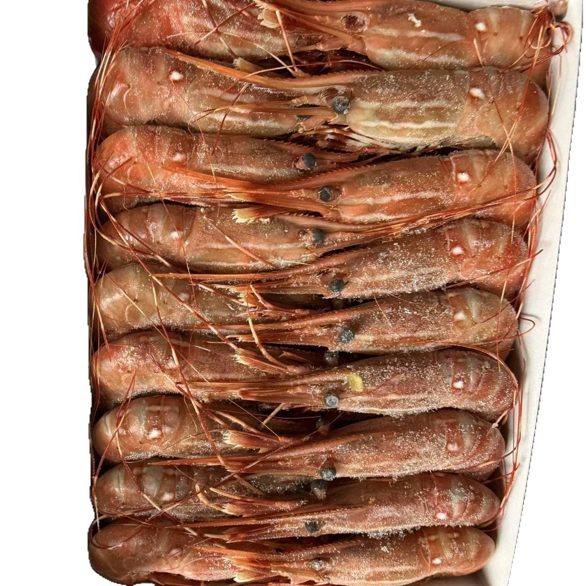 牡丹虾日本料理高级刺身五星级酒店自助餐私房菜高端食材深海鳌虾图5