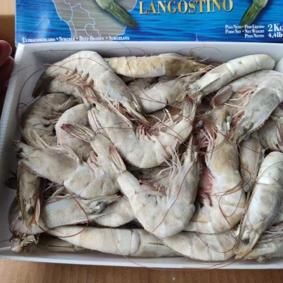 白虾盐冻大虾纯海水虾规格30-40-50自助餐烧烤