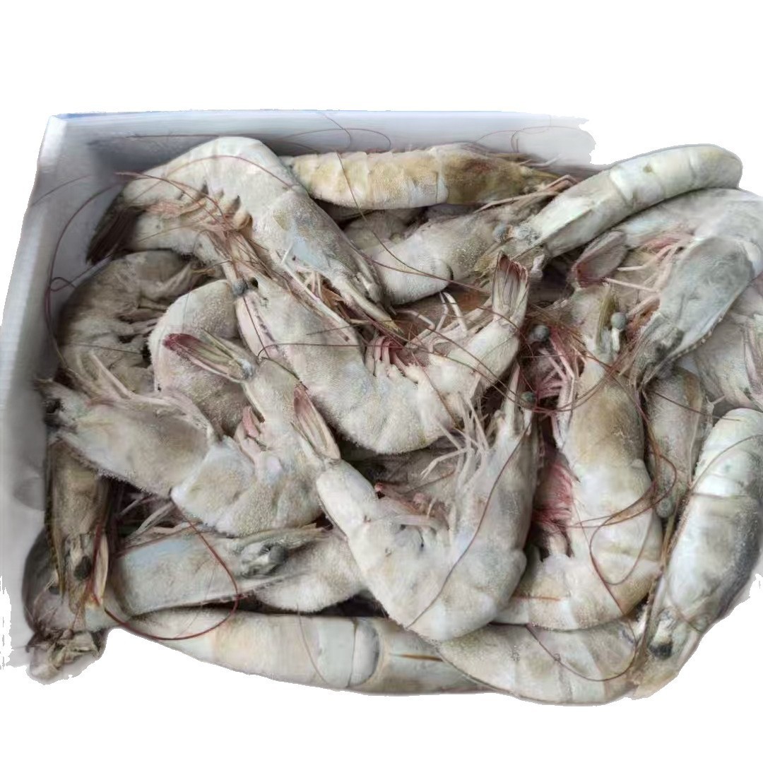 白虾盐冻大虾纯海水虾规格30-40-50自助餐烧烤图5