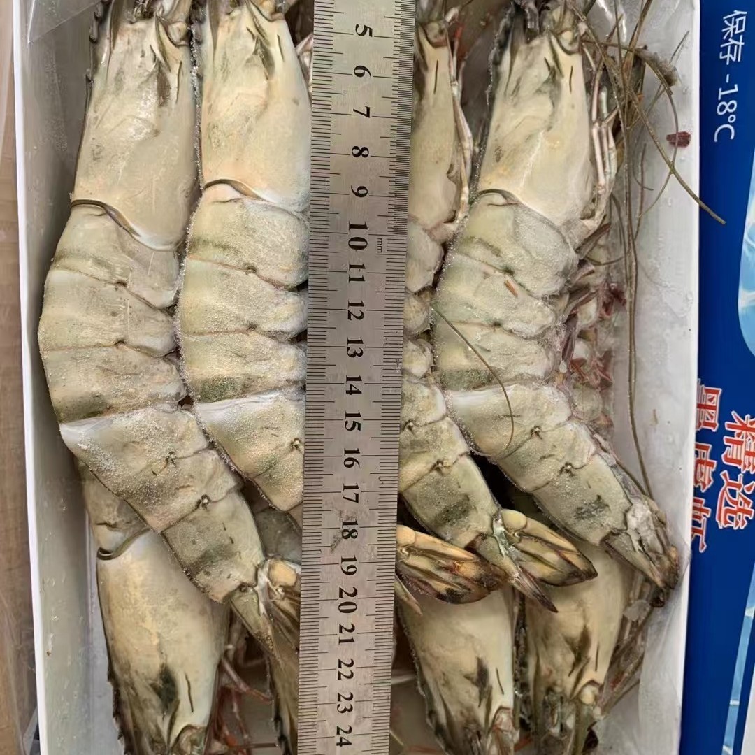 越南泰国马来西亚黑虎虾草虾冻草虾仁黑虎虾仁熟虎虾自助餐铁板烧图3