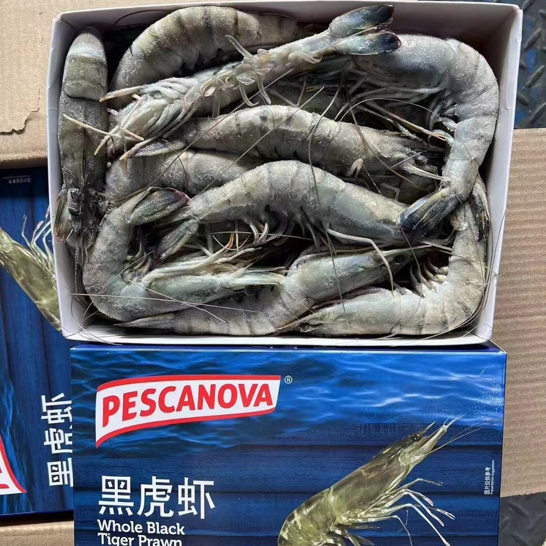 越南泰国马来西亚黑虎虾草虾冻草虾仁黑虎虾仁熟虎虾自助餐铁板烧图4