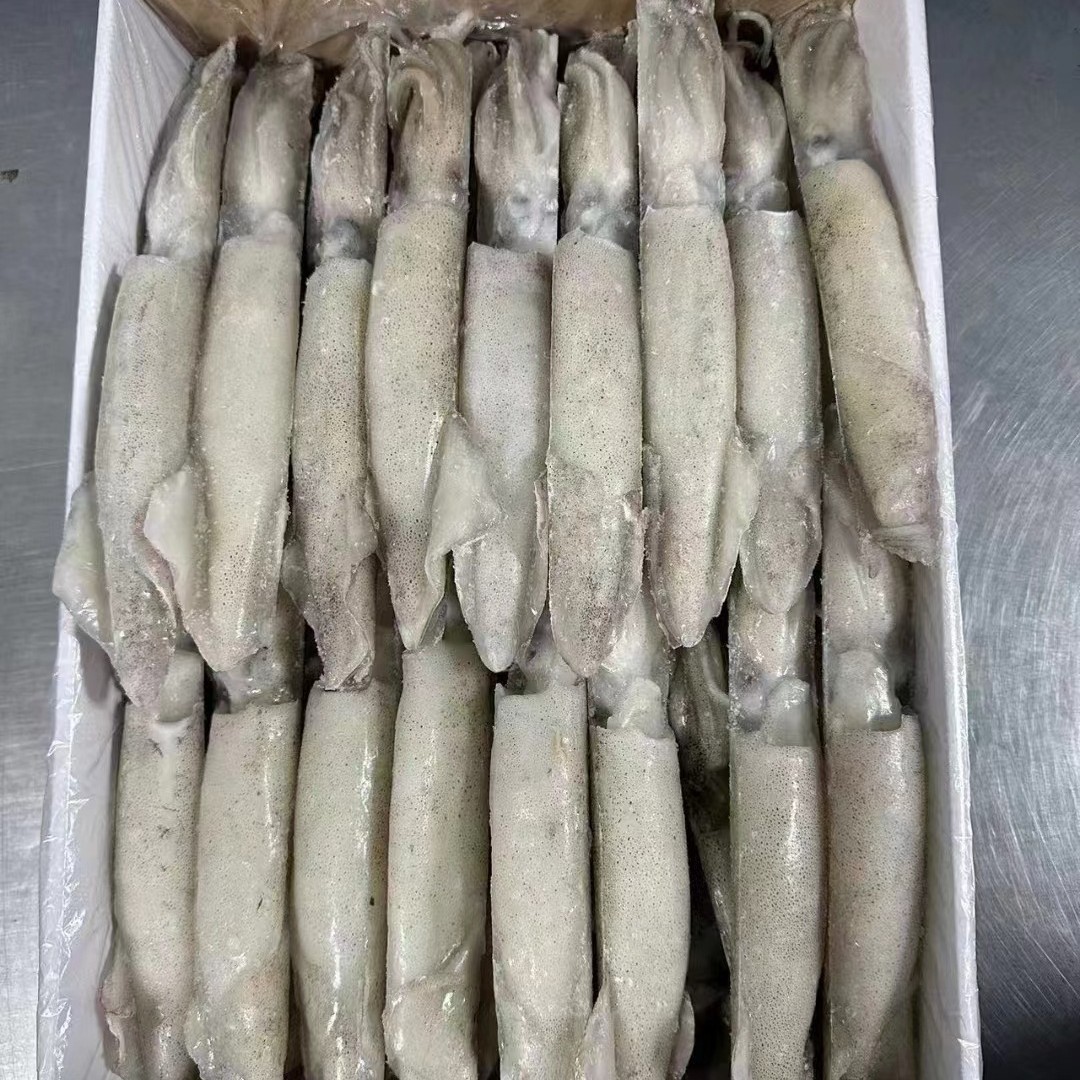美国加州笔管鱿鱼船冻 灯光鱿鱼冷冻 铁板尤鱼海鲜烧烤10公斤含籽