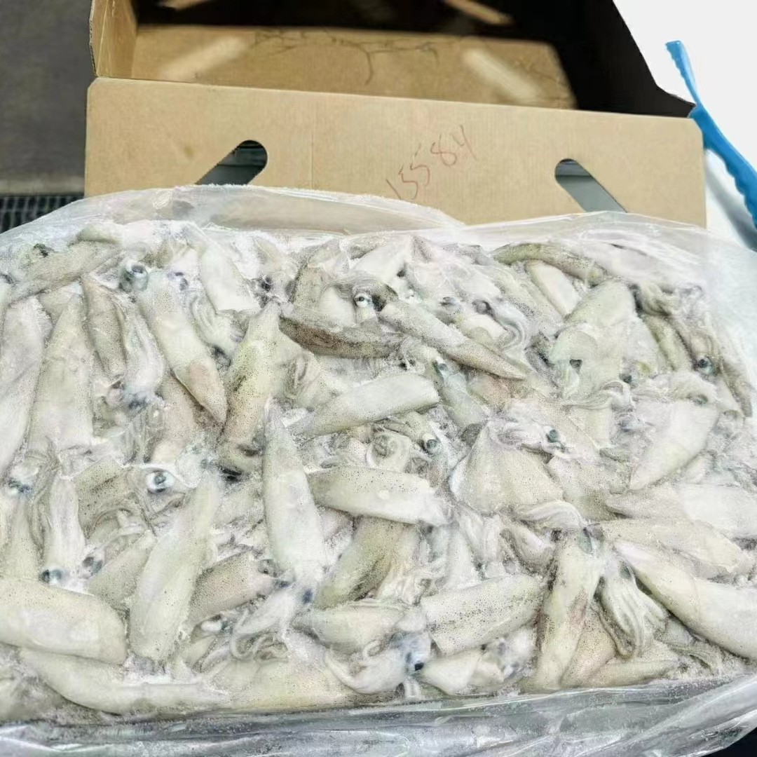 美国加州笔管鱿鱼船冻 灯光鱿鱼冷冻 铁板尤鱼海鲜烧烤10公斤含籽图3