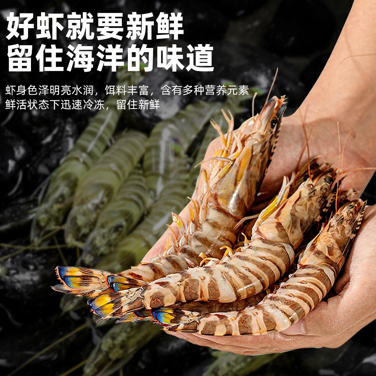 斑节虾特大海鲜竹节虾鲜活急冻九节虾生鲜虾类基尾虾净重1000g