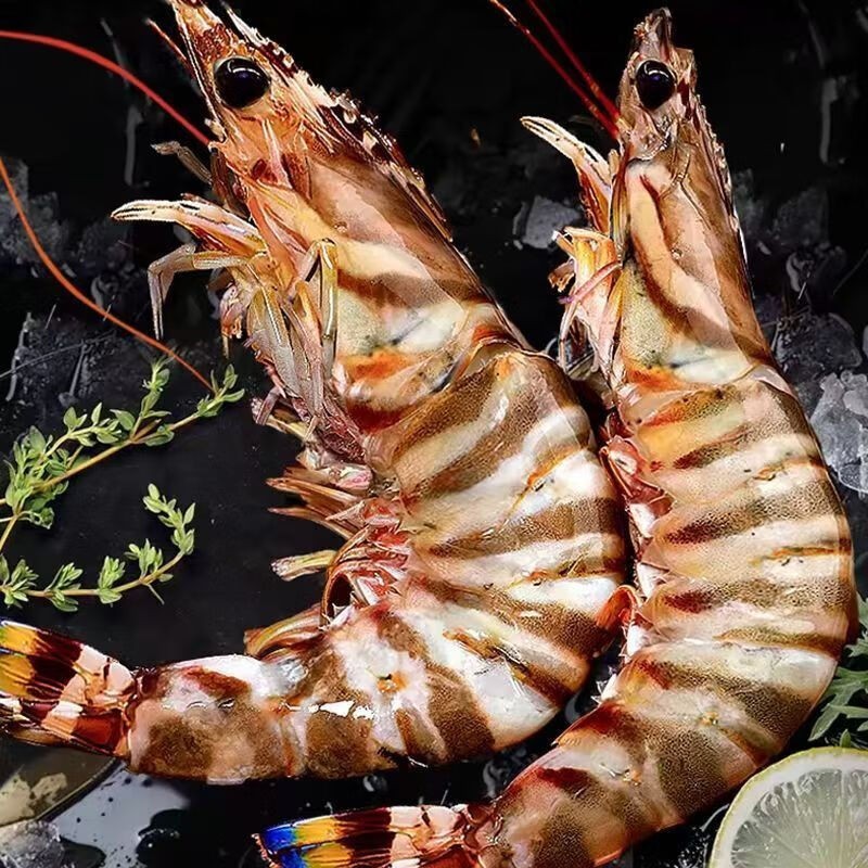 斑节虾特大海鲜竹节虾鲜活急冻九节虾生鲜虾类基尾虾净重1000g图2