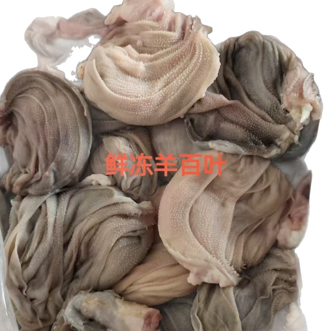 供应火锅店牛百叶鲜冻羊百叶真空包装图2
