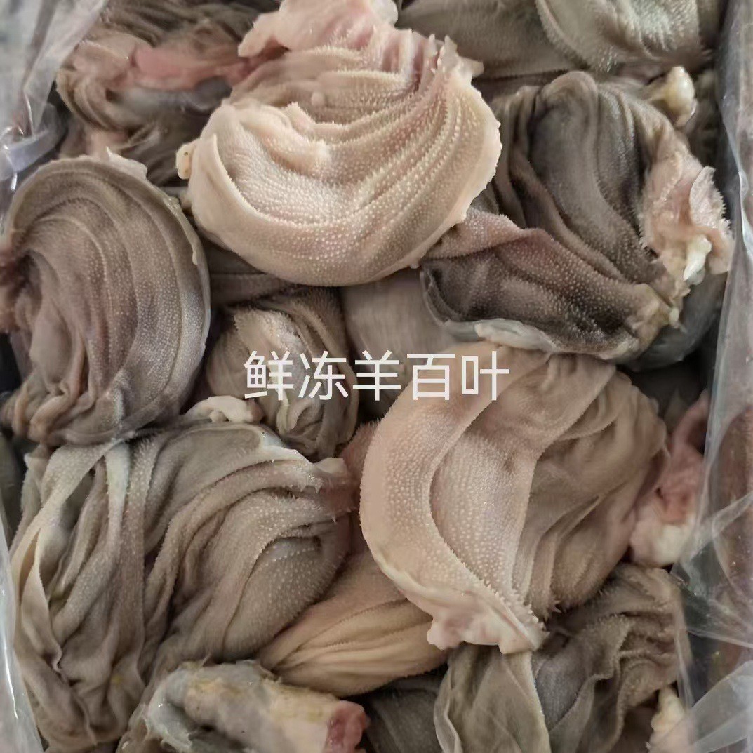 供应火锅店牛百叶鲜冻羊百叶真空包装