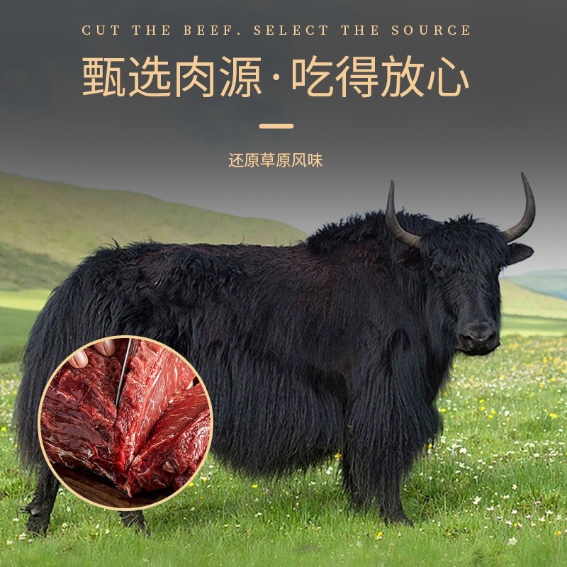 牛肉干风干手撕牛肉四川牛肉干内蒙特产手撕风干牛肉图2