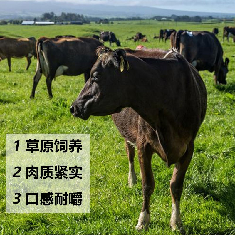 国产原切牛腱子生鲜商用火锅食材新鲜不调理牛腱肉5斤牛腱子图3