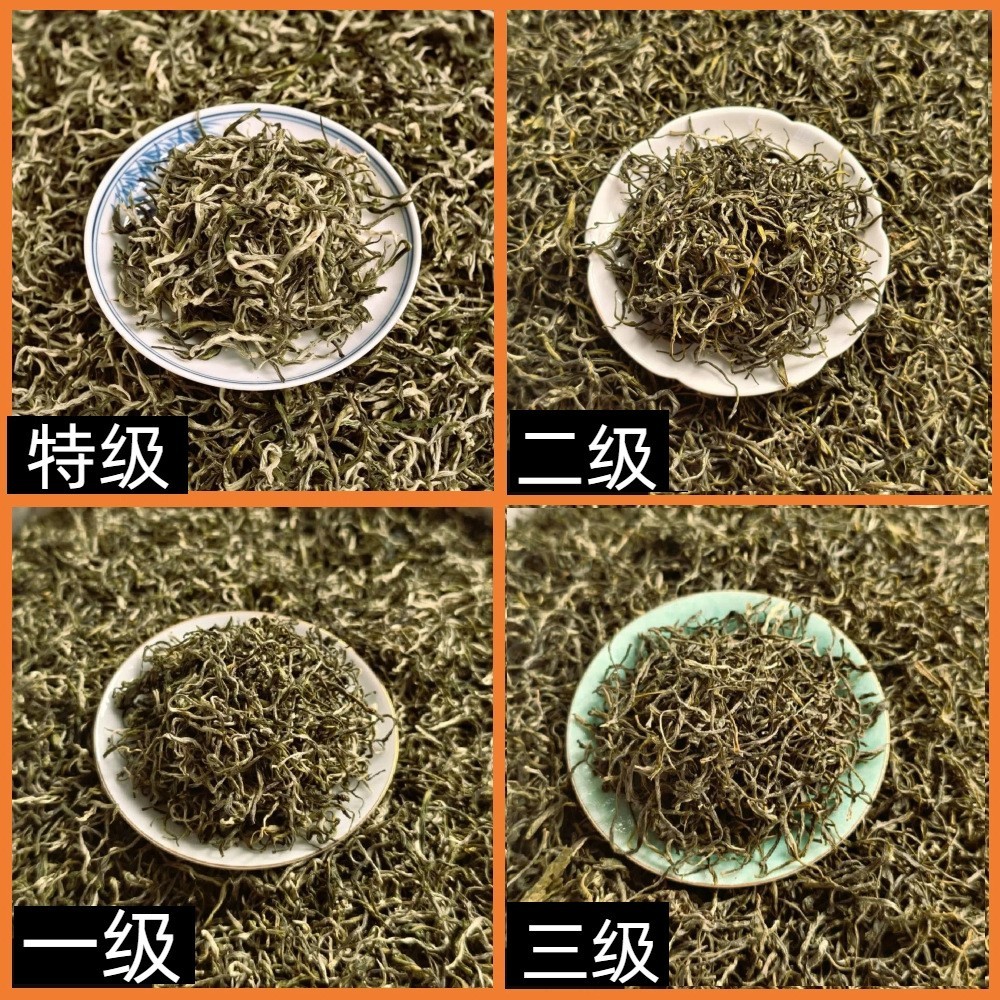 2025年新茶云南春尖茶叶云雾一芽一叶绿茶白毫银丝高山绿茶图4