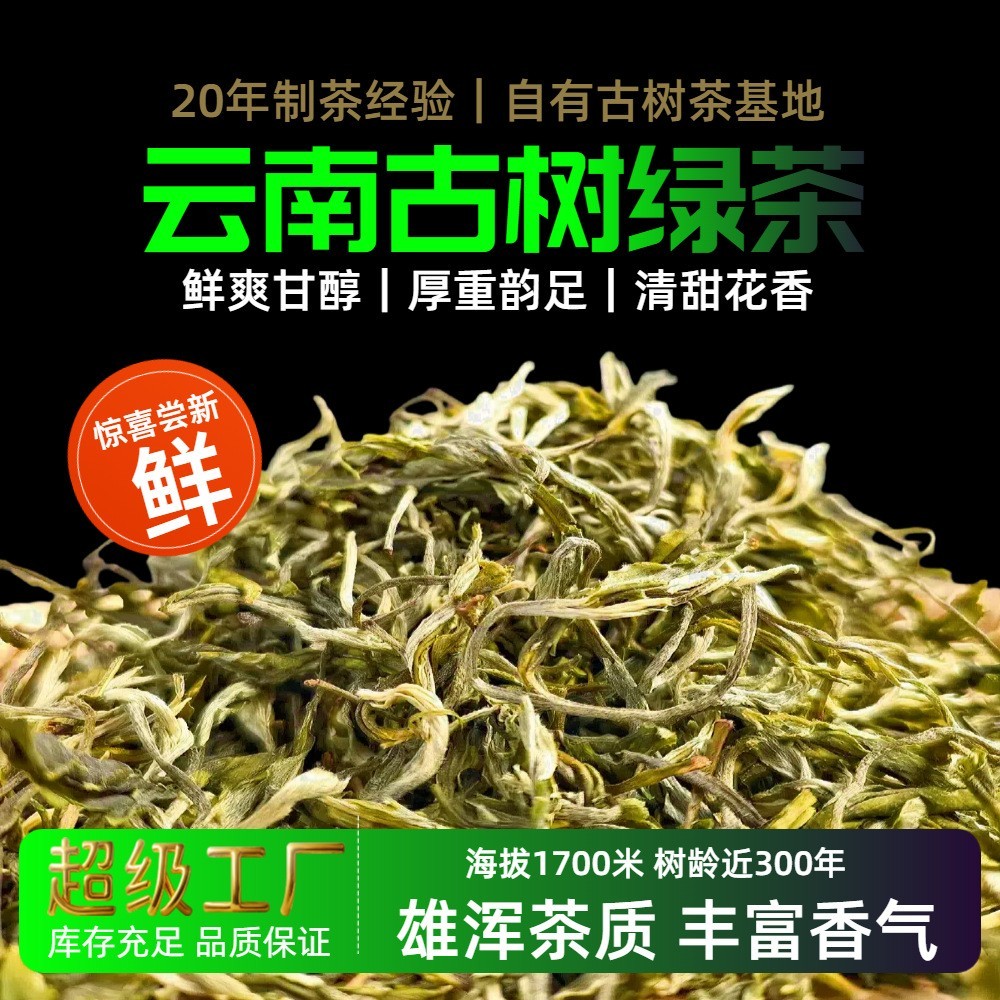 2025年新茶云南古树绿茶散装茶叶厂家散茶500克高山绿茶