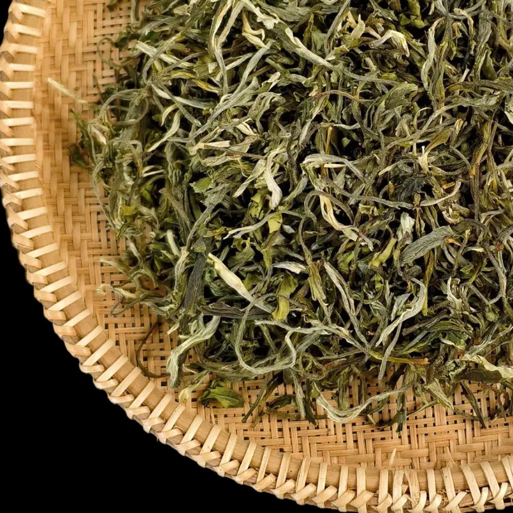 2025年新茶云南古树绿茶散装茶叶厂家散茶500克高山绿茶图3