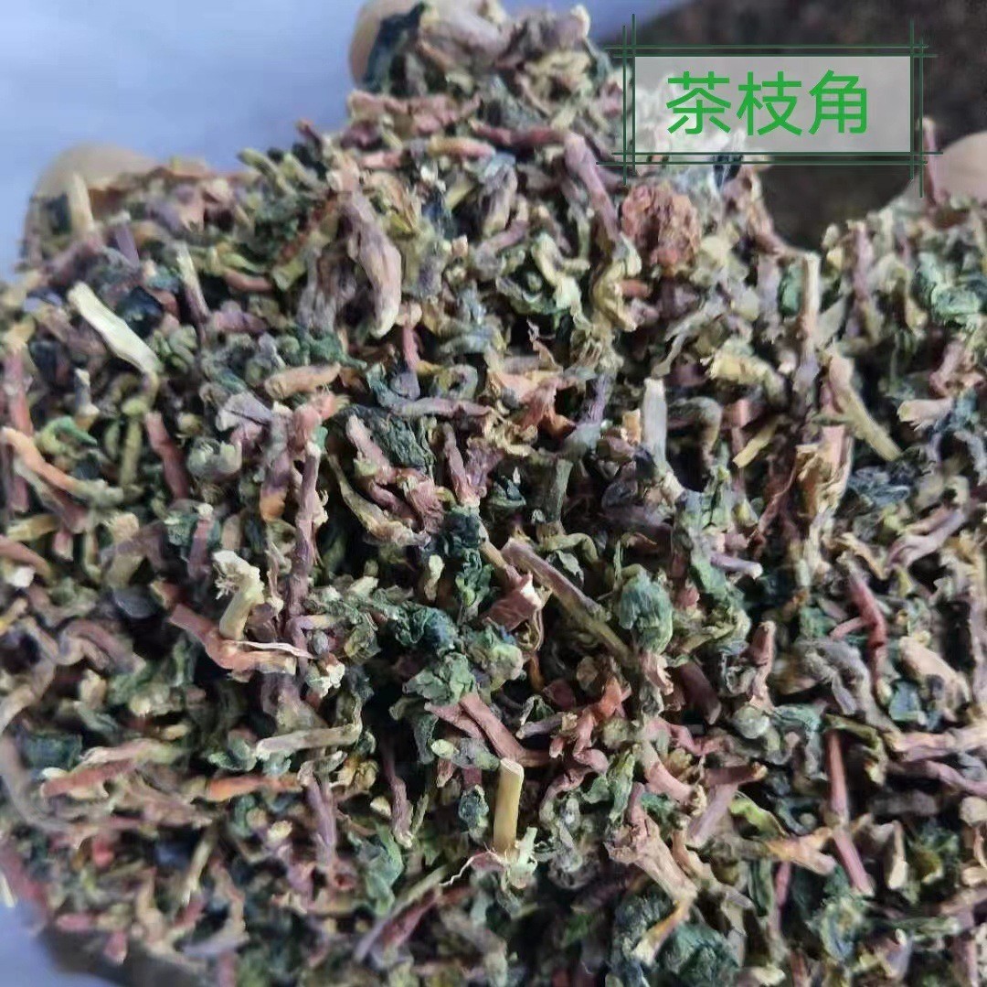 定制茶梗乌龙茶铁观音茶梗茶枝角绿茶叶梗山蜜草货源散装茶根图3