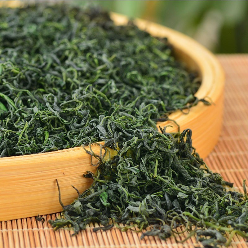 浓香茶高山云雾绿茶日照炒青半斤装浓香茶叶新茶厂家