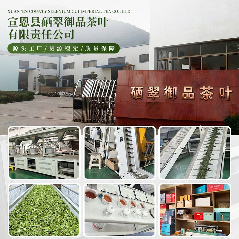 玉露定制厂家新茶湖北原产地硒茶散装自己喝茶叶绿茶图3