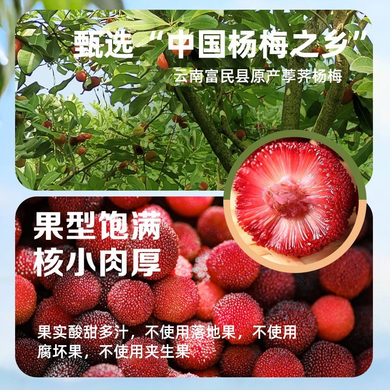 云南杨梅罐头400g 水果罐头 0添加剂即食云南特产图4