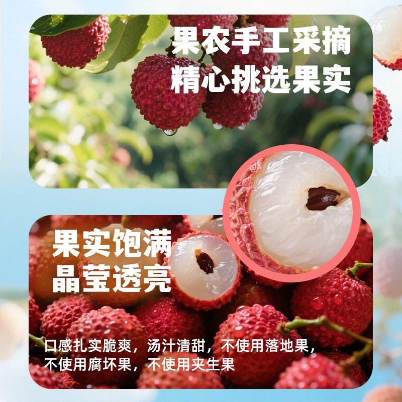 糖水荔枝罐头新鲜即食水果罐头567g罐装商用荔枝满满图4