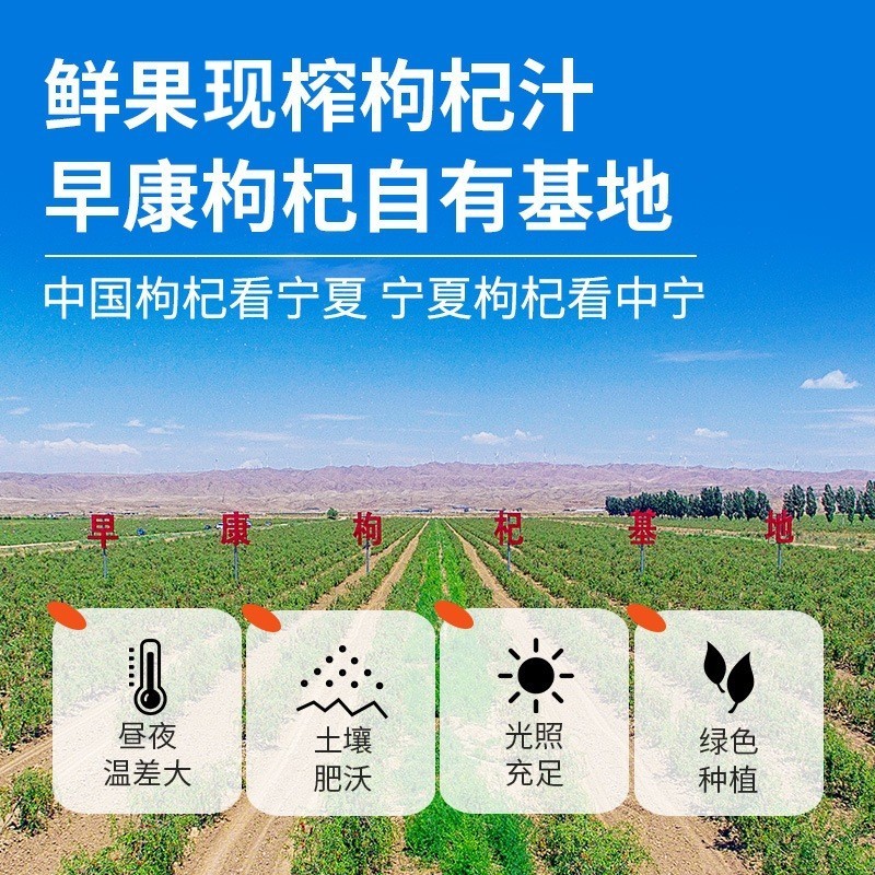 枸杞原浆大袋500ml黑枸杞原浆鲜枸杞宁夏枸杞袋装枸杞汁图3