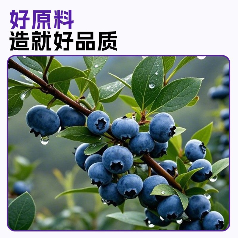 蓝莓原浆饮蓝莓果汁鲜果榨汁整箱饮品蓝莓汁原料图2