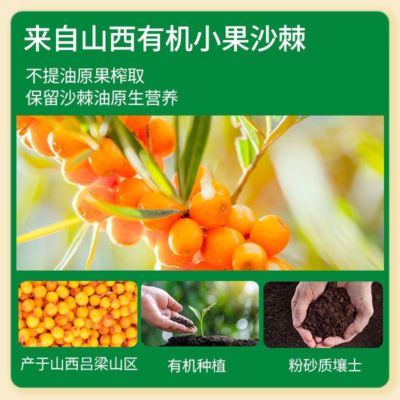 有机沙棘原浆210ml含果油鲜果榨汁原料源头工厂图2