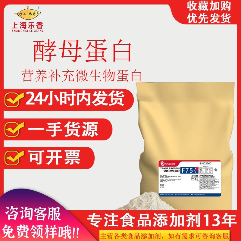 安琪酵母蛋白F80微生物蛋白新食品原料风味酵母营养强化酵母蛋白