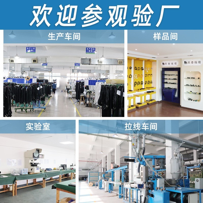 定制亚马逊同款10-30P/14-50R新能源汽车美规充电转换插头电源线图2