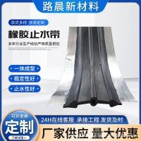 橡胶止水带钢边式350*10背贴式651型中埋式橡胶止水带厂家