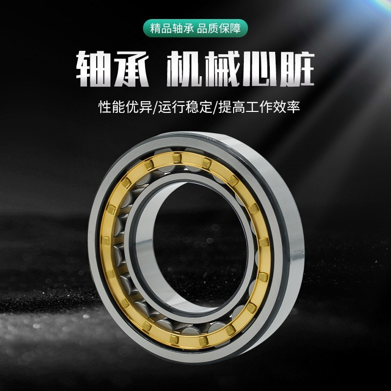 圆柱滚子轴承单列双列不锈钢二类圆柱滚子轴承变速箱专用轴承图2