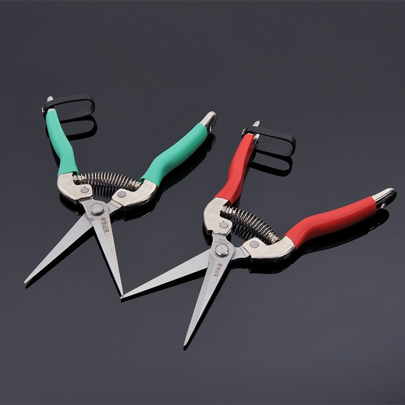 摘果修枝剪 不锈钢直头 园艺修枝 葡萄采摘 稀果剪图2