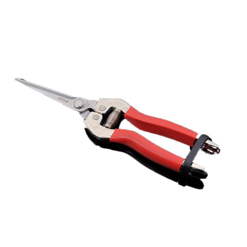 摘果修枝剪 不锈钢直头 园艺修枝 葡萄采摘 稀果剪图5