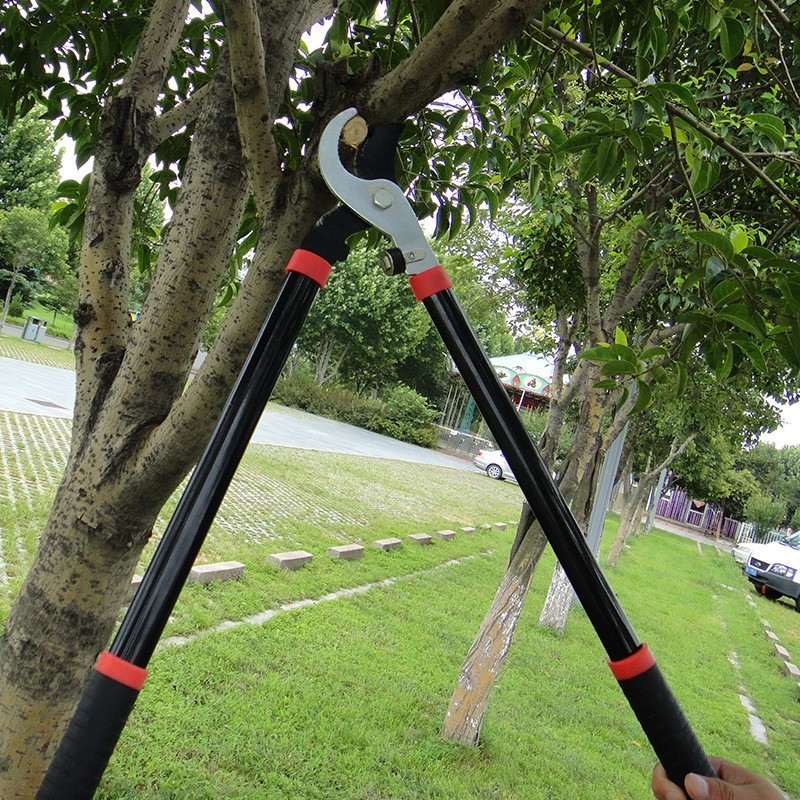 源头货源粗枝剪镀铬果树修枝修剪大力剪农用果枝剪月牙修枝剪图3