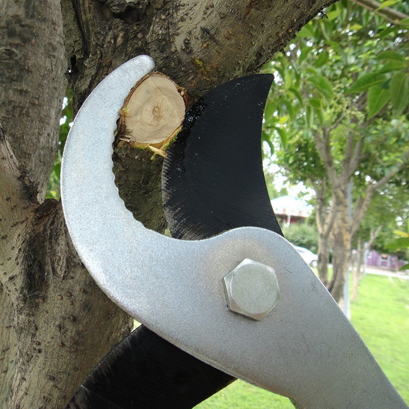 源头货源粗枝剪镀铬果树修枝修剪大力剪农用果枝剪月牙修枝剪图4