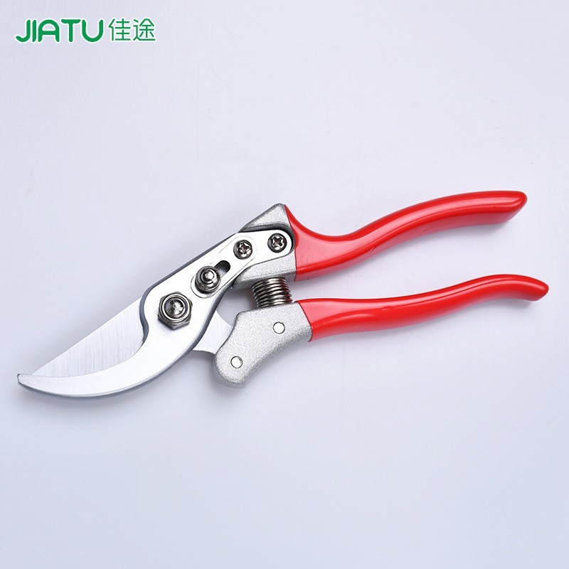 花枝剪修花园林工具园艺鸟嘴剪刀果树花木修枝剪粗枝盆栽SK5碳钢图3