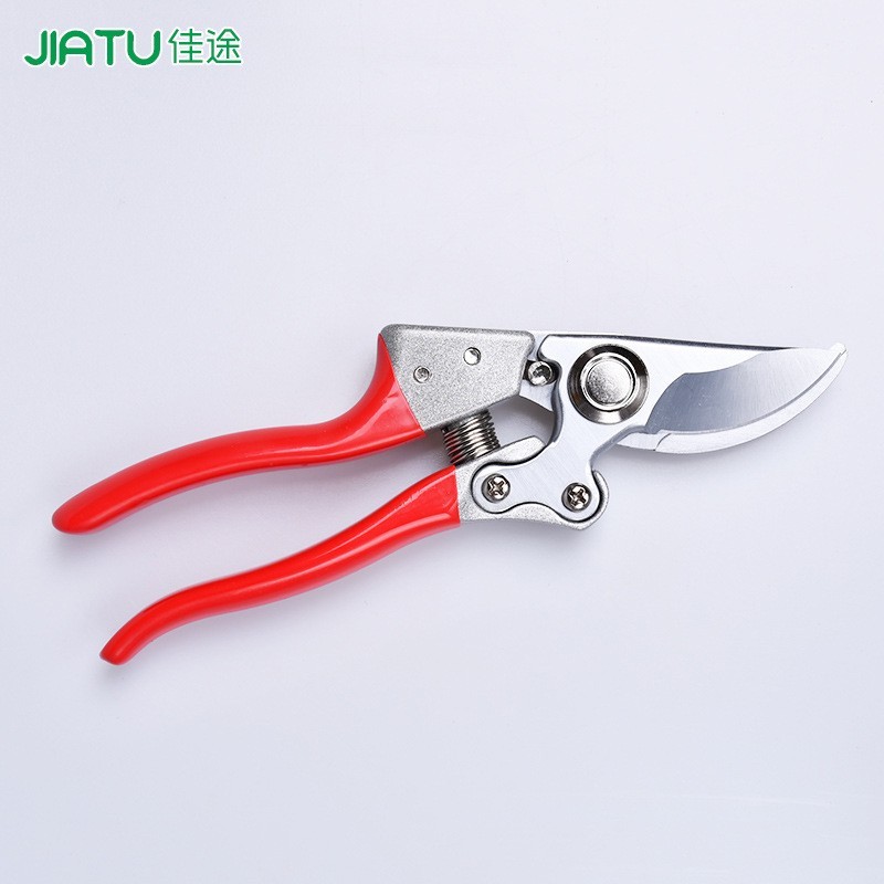 花枝剪修花园林工具园艺鸟嘴剪刀果树花木修枝剪粗枝盆栽SK5碳钢图2