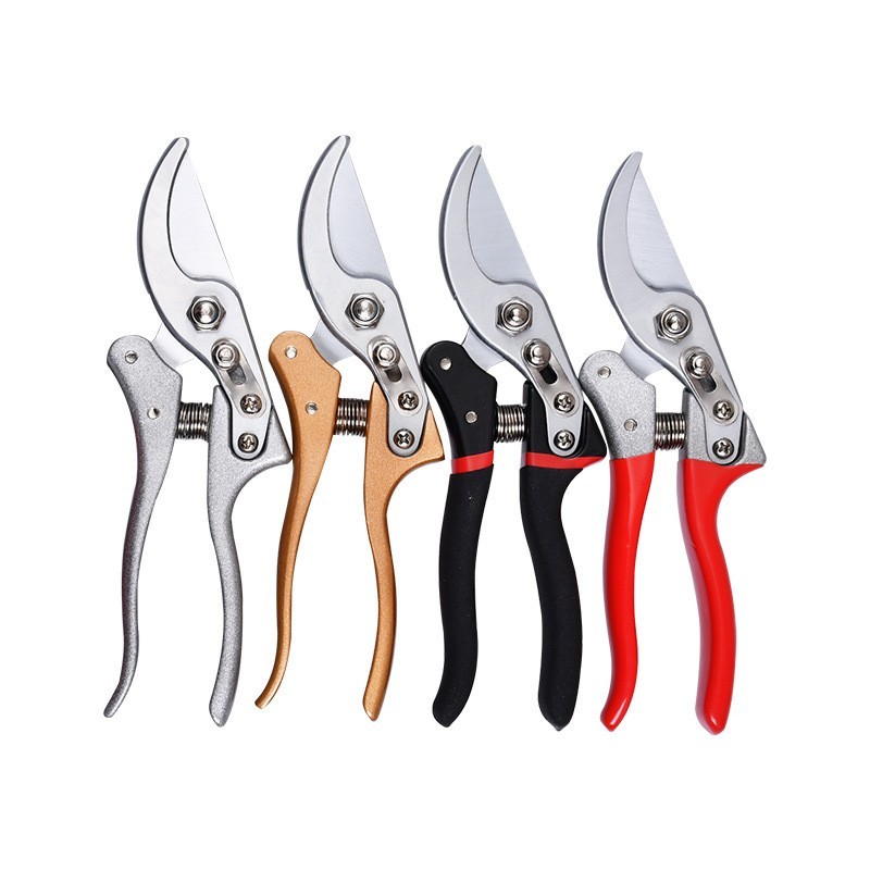 花枝剪修花园林工具园艺鸟嘴剪刀果树花木修枝剪粗枝盆栽SK5碳钢图5