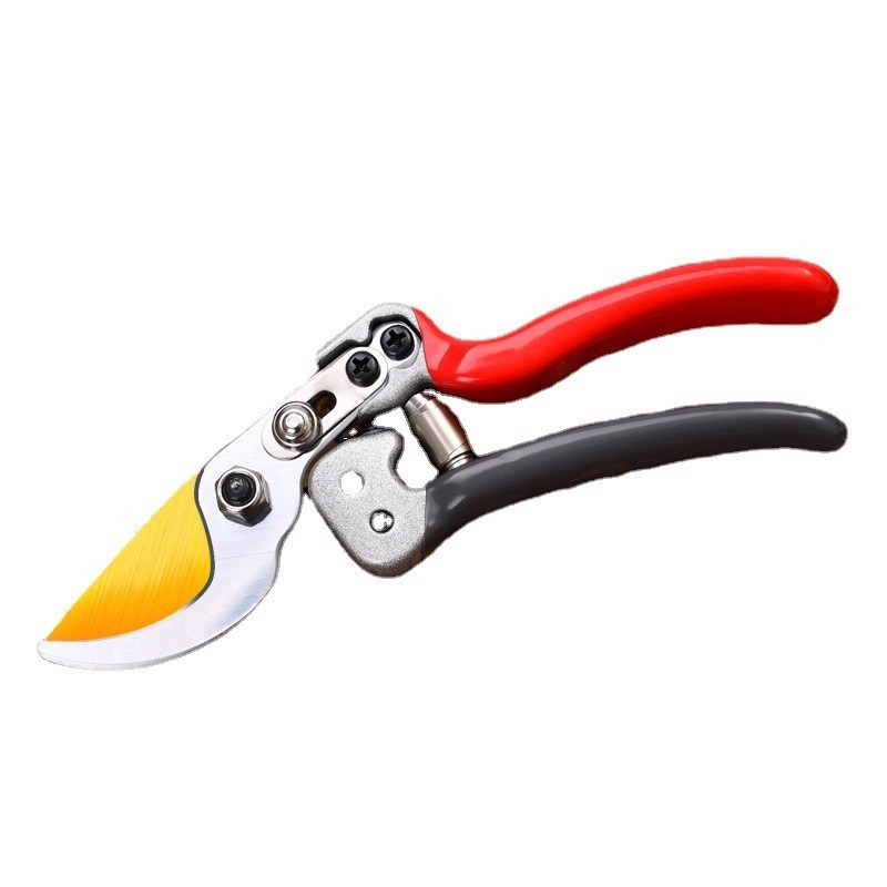 SK5钢园林省力修枝剪 果枝果树盆景园艺粗枝剪 家用摘果图5