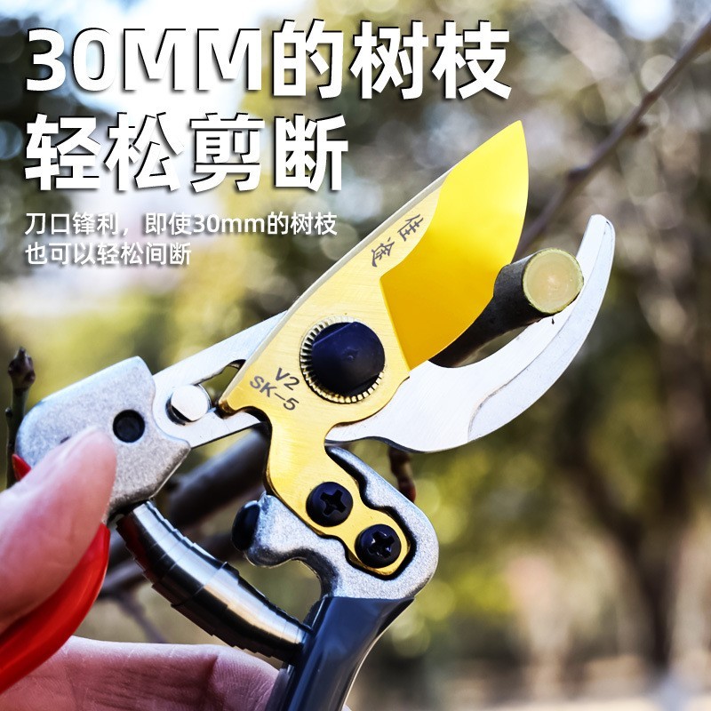SK5钢园林省力修枝剪 果枝果树盆景园艺粗枝剪 家用摘果图2