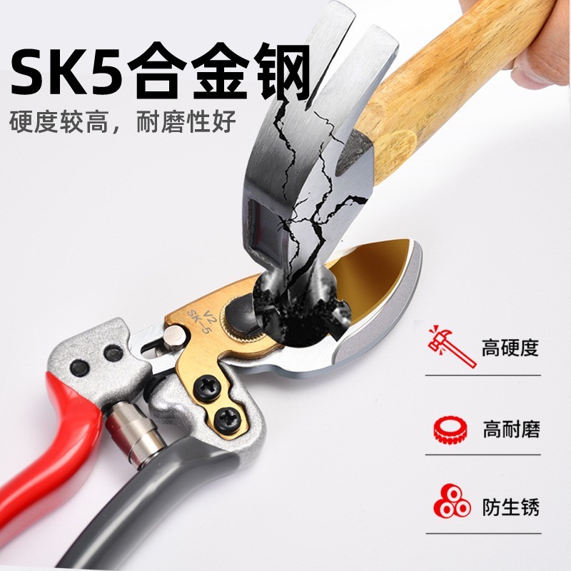 SK5钢园林省力修枝剪 果枝果树盆景园艺粗枝剪 家用摘果图3