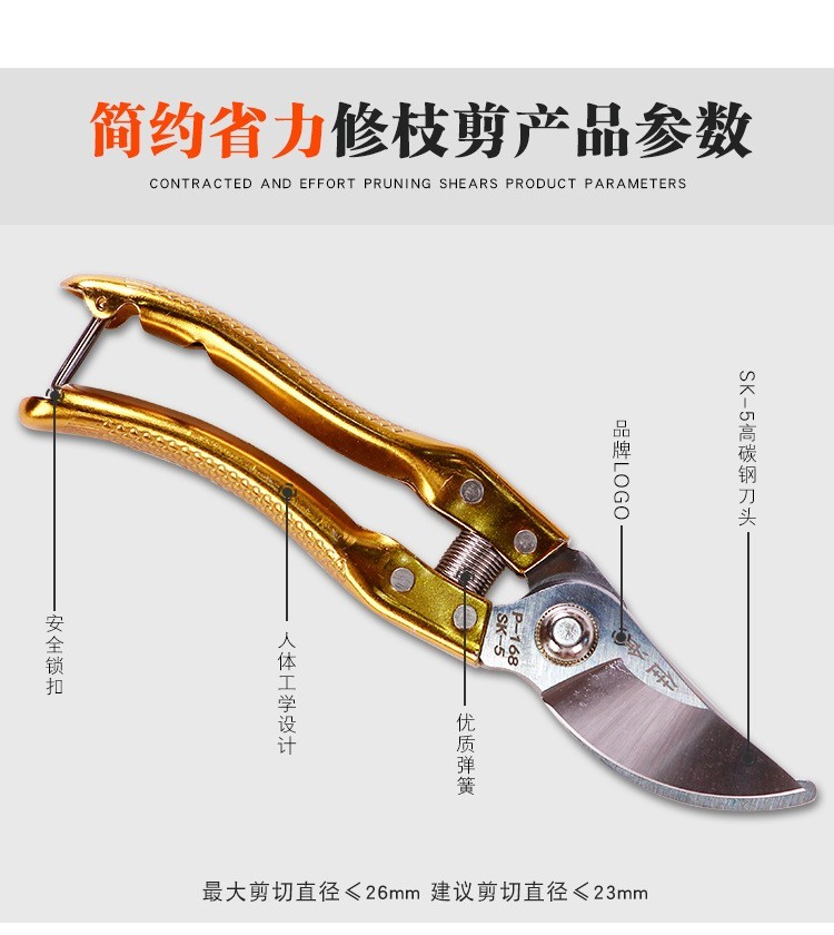 剪枝果树修枝剪刀园艺修剪树枝园林省力修花枝剪家用强力剪子图4