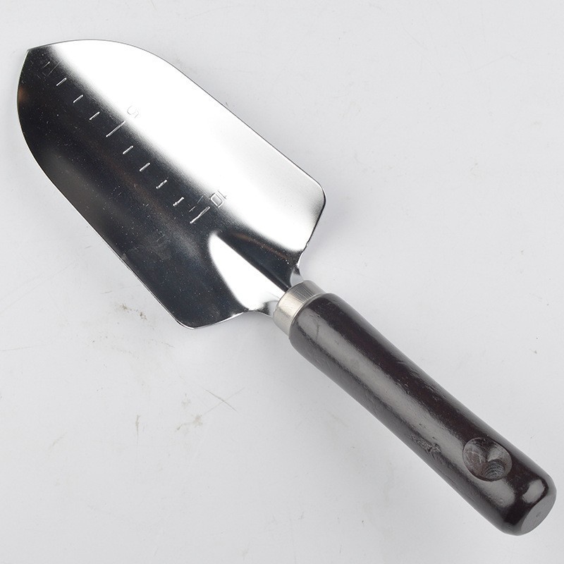 榉木柄不锈钢园艺移植铲 栽花栽苗铁铲 园艺工具花园铲不锈钢花铲图4
