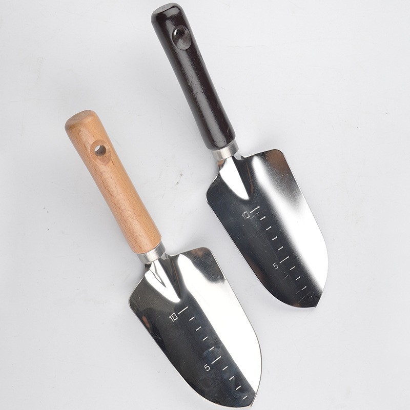 榉木柄不锈钢园艺移植铲 栽花栽苗铁铲 园艺工具花园铲不锈钢花铲图3