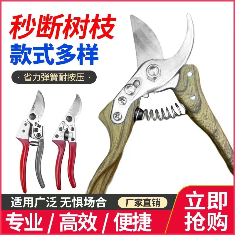 果枝剪修枝剪厂家剪树枝专用剪刀园艺剪粗枝剪大力剪盆景图3