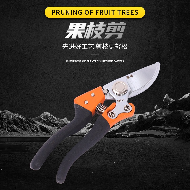 果枝厂家园艺剪刀修枝剪省力枝条修剪树枝果树园林剪花艺盘图3