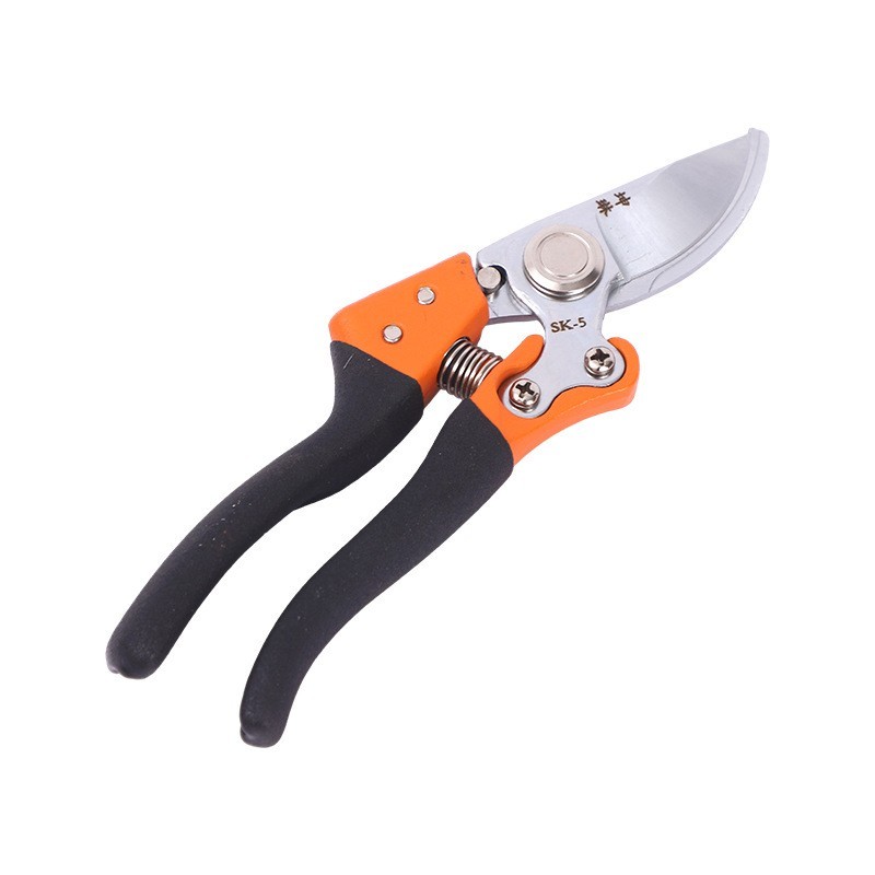 果枝厂家园艺剪刀修枝剪省力枝条修剪树枝果树园林剪花艺盘图5