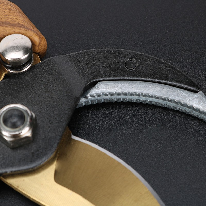 轻便锋利齿轮修枝剪园林果园粗枝剪花园园艺多功能剪刀图3