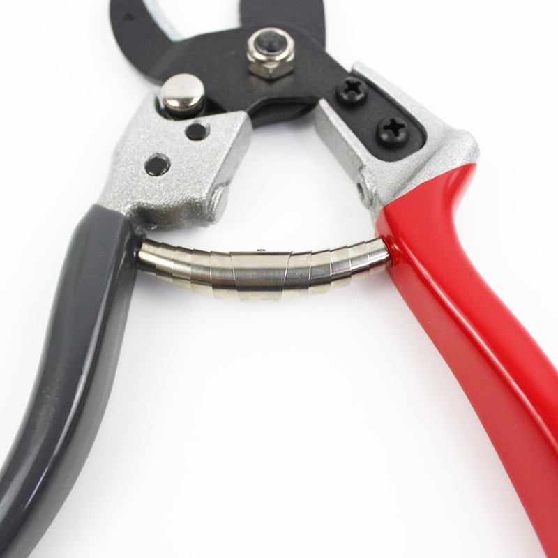 SK5钢园林修枝剪多功能树枝剪花园果树专用剪刀刀头花艺省力图3