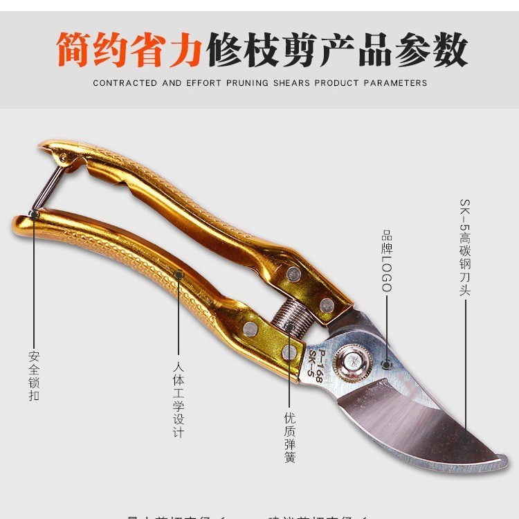 不锈钢果枝剪花园修枝剪绿化省力树枝花枝家用高枝锯修剪省力图2