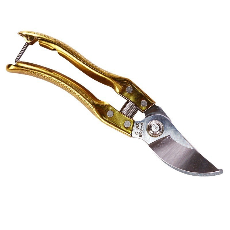 不锈钢果枝剪花园修枝剪绿化省力树枝花枝家用高枝锯修剪省力图5