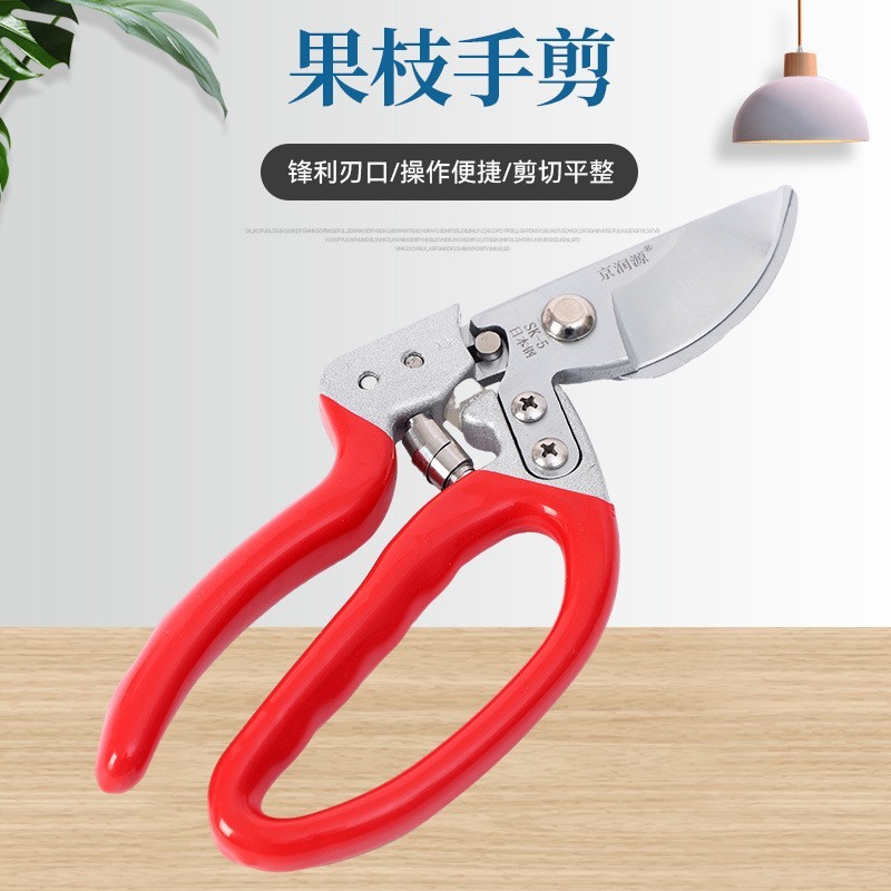 高碳钢园艺剪刀修枝剪花卉园艺剪全套修枝工具加厚高碳钢苗木图2