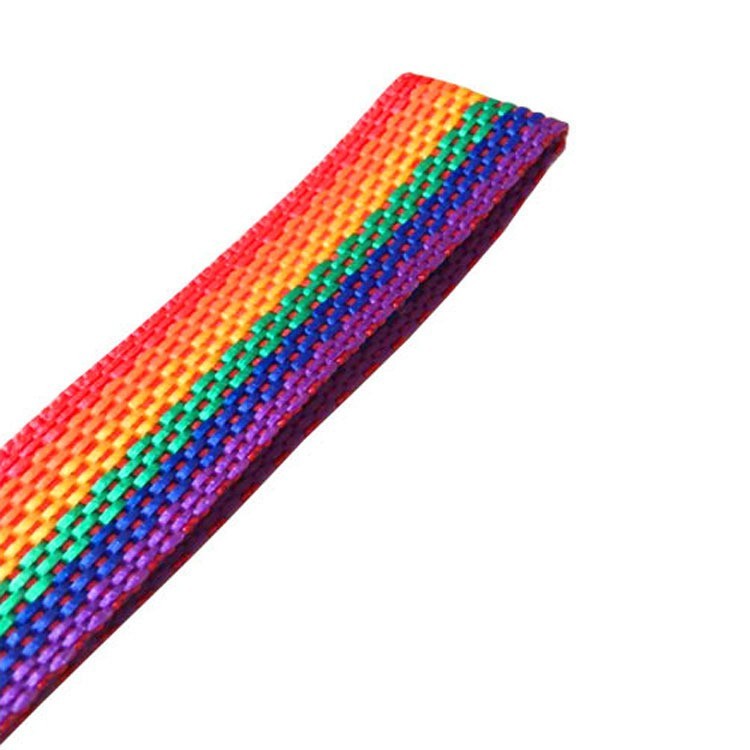 手腕彩虹飘带6色一米儿童玩具舞蹈彩带 飘带图4